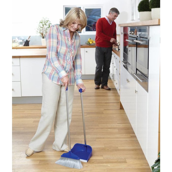 Dustpan and long-handled brush