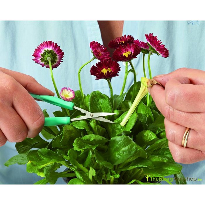 Mini scissors self-opening Easi-Grip® with sharp point 30 mm - light green