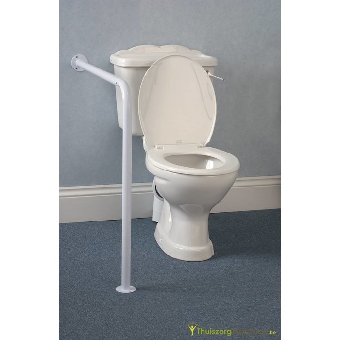 Support fixe pour toilettes avec fixation au sol/mur Ringwood
