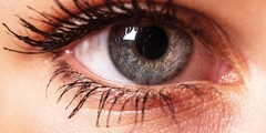 Visually impaired