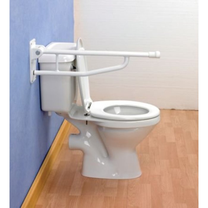 Folding toilet support rail