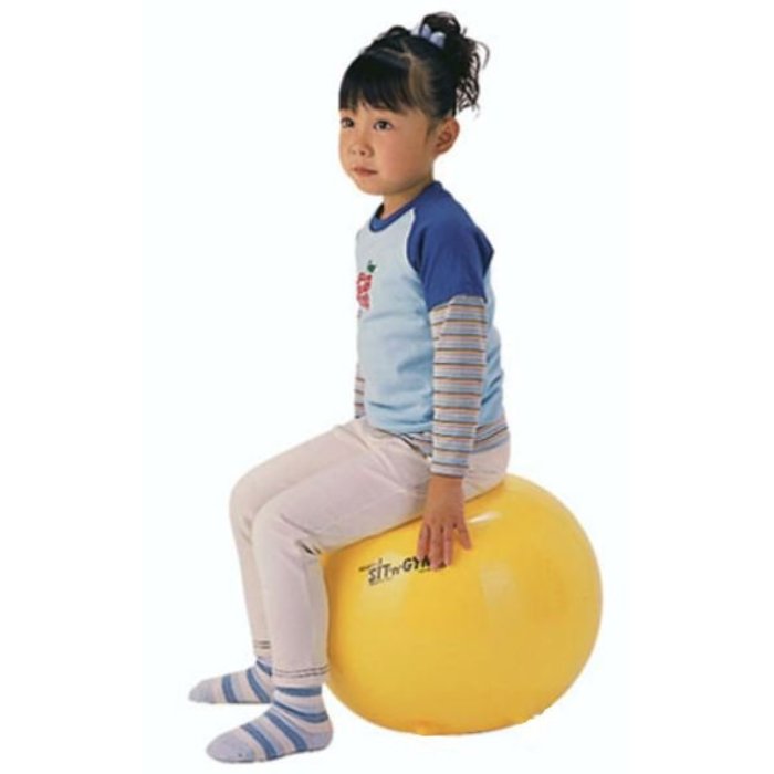 Sitting and exercise ball including pump