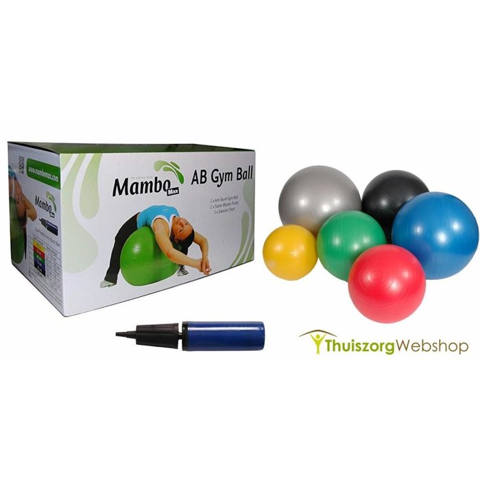Sitting and exercise ball including pump