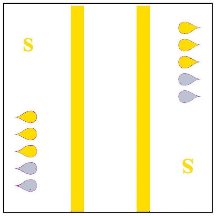 Slip 'Extra' - jaune 4 x 20 pièces