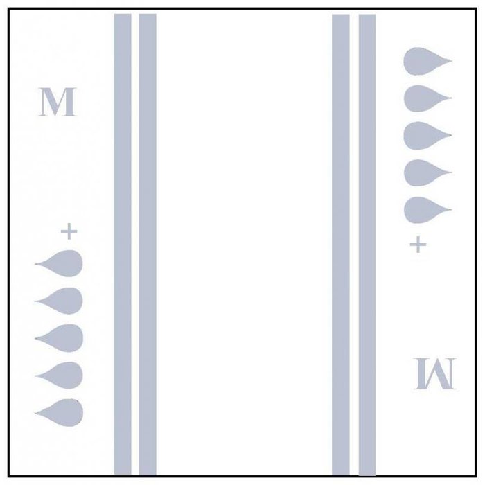 Slip 'Maxi plus' - grijs 4 x 20 stuks