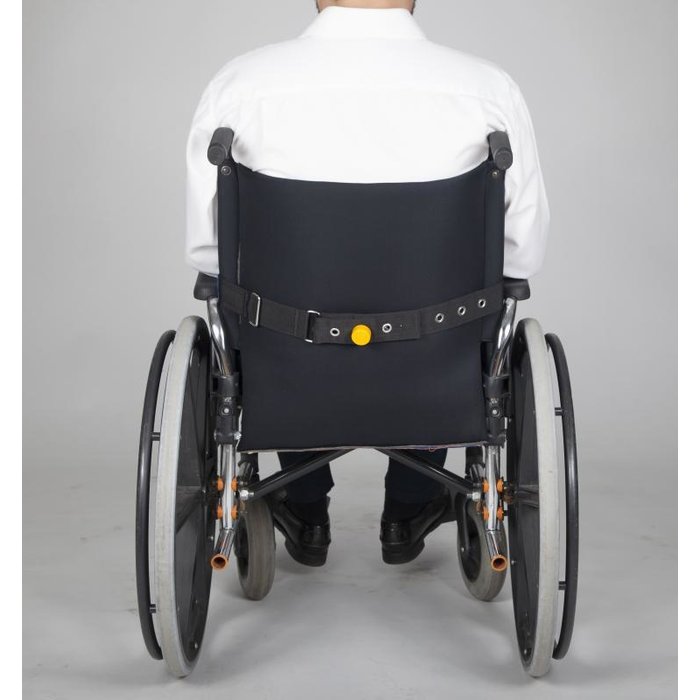 Veiligheidsgordel Salvaclip Safe