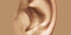 Hard of hearing