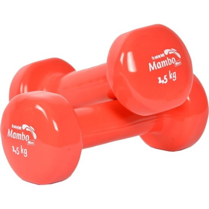 Practice weights - 7 different weights available (always per 2)