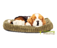 Lifelike pet (various breeds)