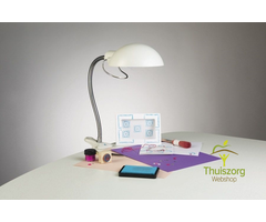 Daylight flexilight lamp D31120