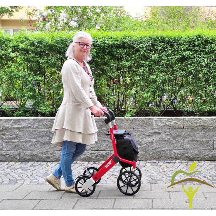 Let's Go Out Light and elegant rollator (including luggage bag)
