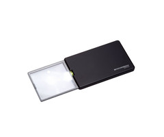 Pocket-sized slide-in magnifier