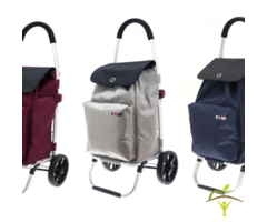 Foldable shopping cart