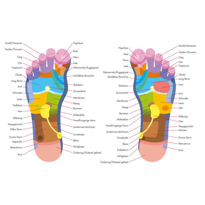 Reflexomed II foot massager