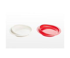 Plate with raised edge and suction cup