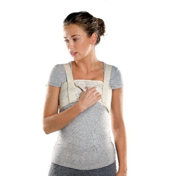 Sternshield - harness for the chest and sternum
