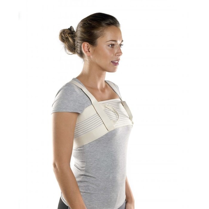 Sternshield - harness for the chest and sternum