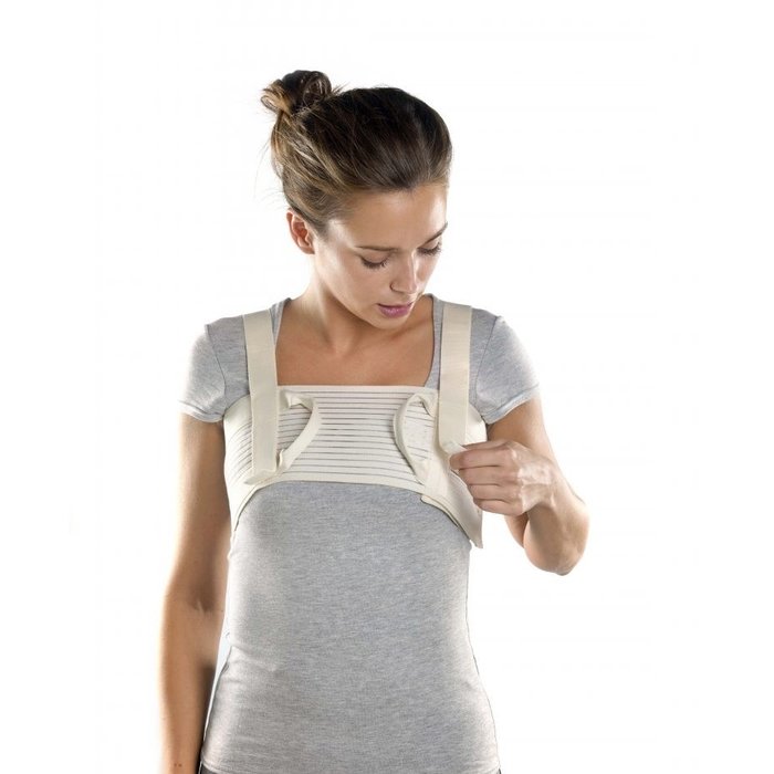 Sternshield - harness for the chest and sternum