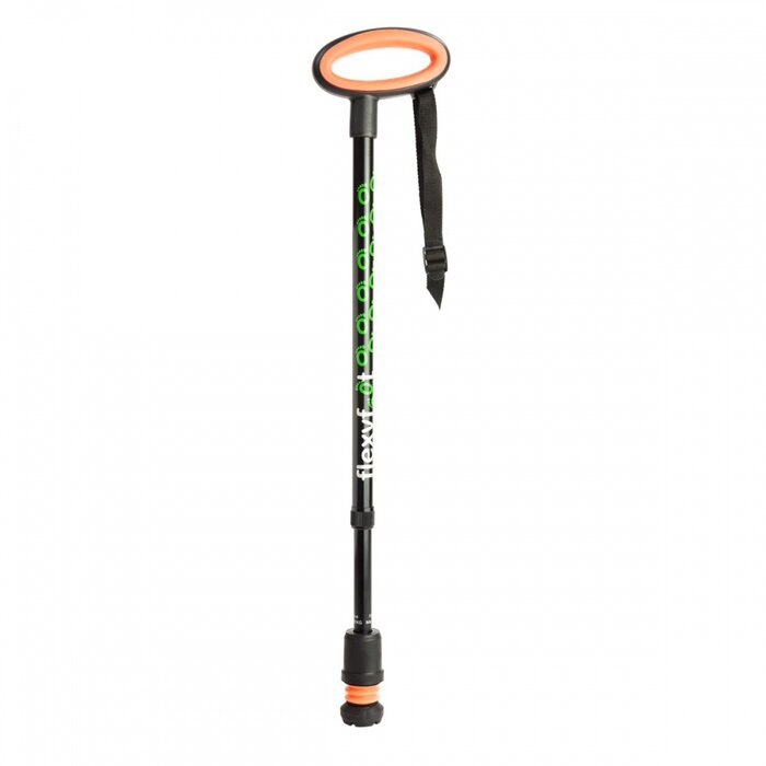 Walking stick with oval handle