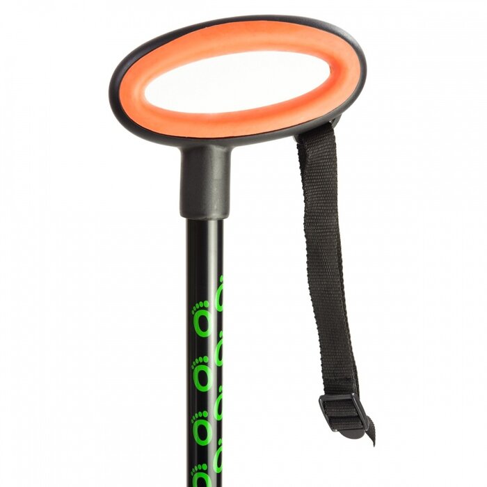 Walking stick with oval handle