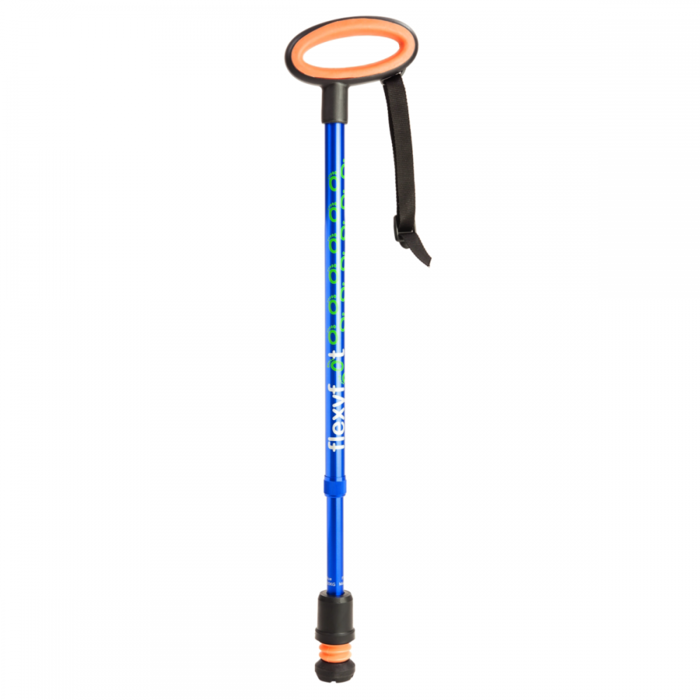 Walking stick with oval handle