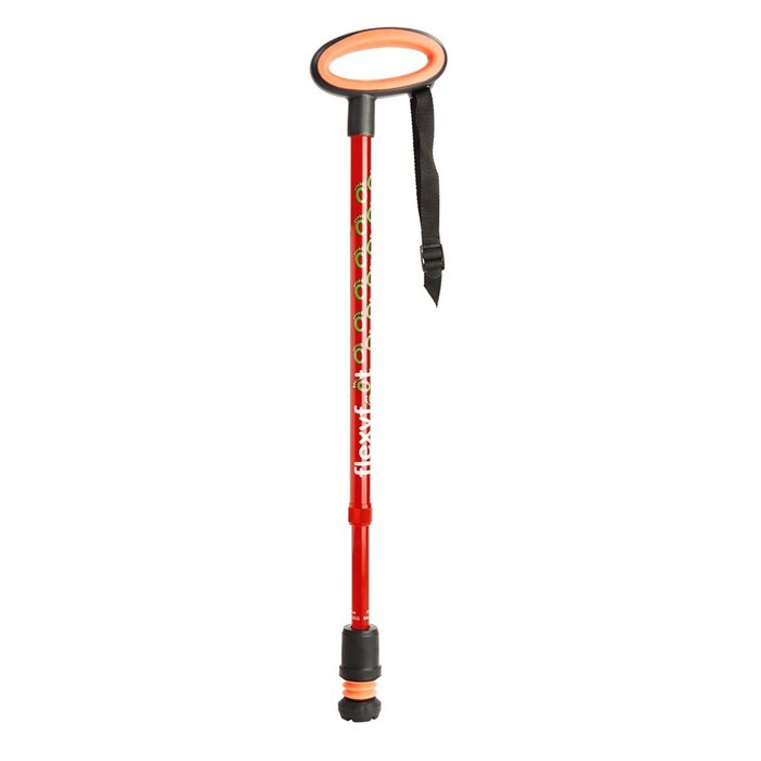 Walking stick with oval handle