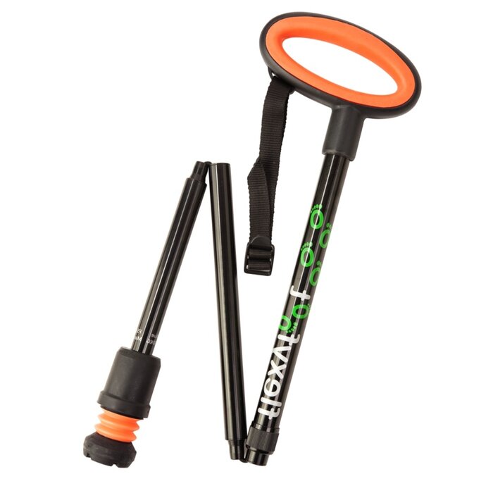 Walking stick with oval handle