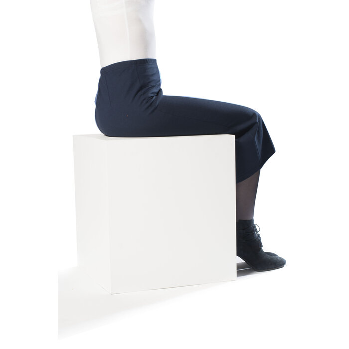 Rolstoel rok - kort marine