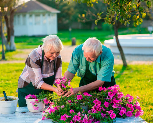 DE LEUKSTE LENTEACTIVITEITEN VOOR SENIOREN