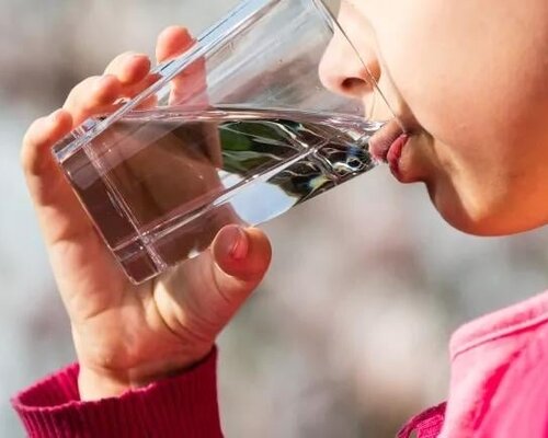 Why is drinking water daily so crucial for our bodies?