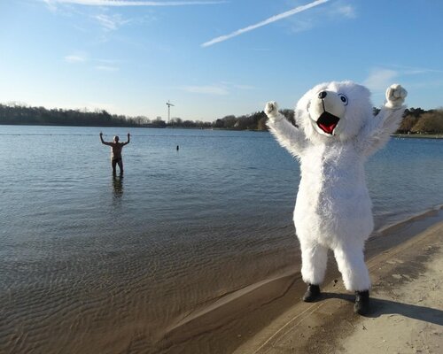 The Ice Cold Dive: Benefits, Safety and Tips for Beginners!