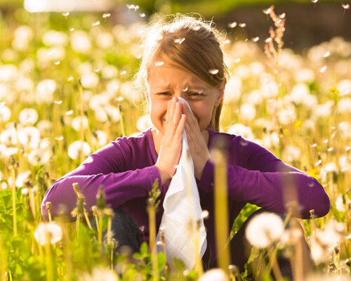 Waarom je van Hooikoorts zo Vermoeid Bent en Slecht Slaapt