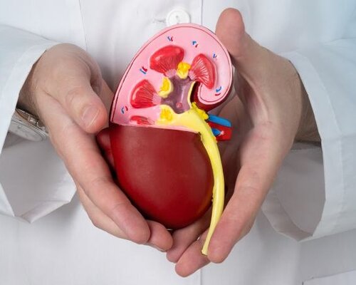 Symptomen van een verstopte slagader in het been