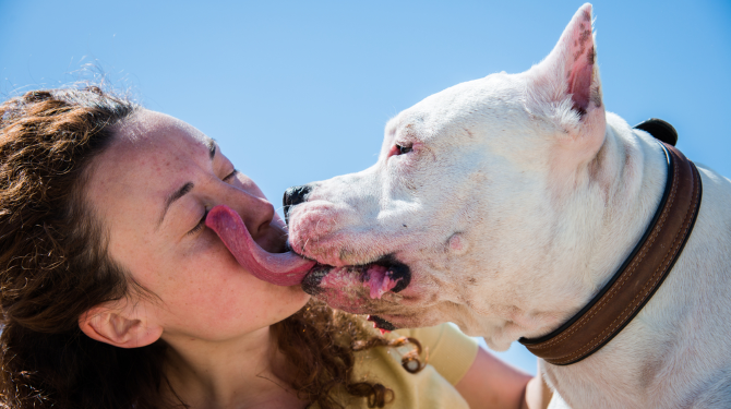 Is een lik van een hond gevaarlijk?