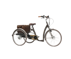 Moderne elektrische driewielfiets