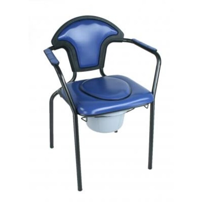 Fixed toilet seats