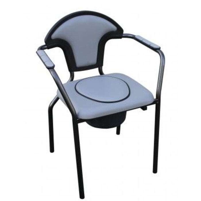 Fixed toilet seats