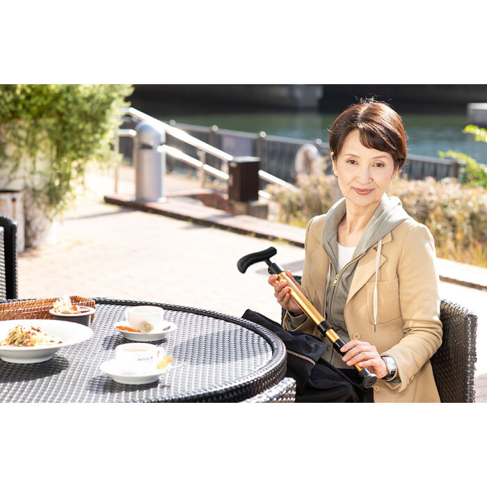 Folding design walking stick