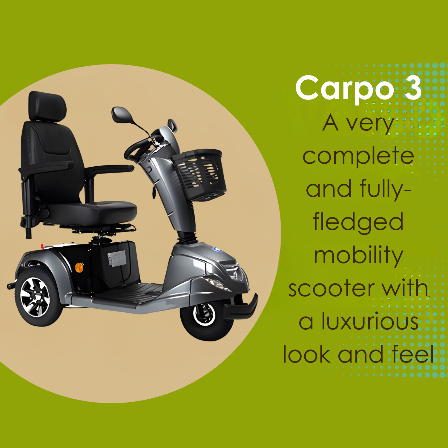 Carpo 3 - Outdoor scooter with 3 wheels