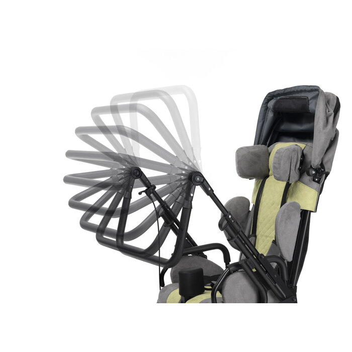 Gemini 2 buggy voor andersvalide kinderen