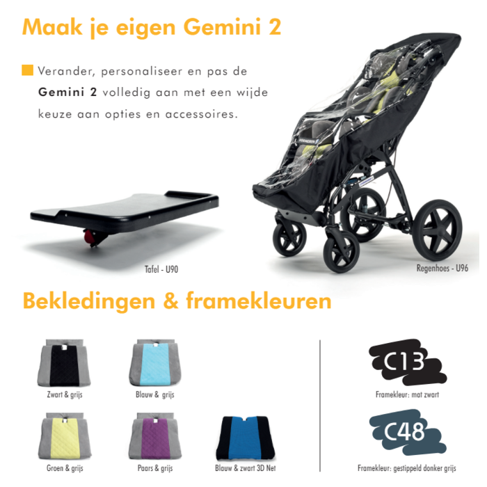 Gemini 2 buggy for disabled children