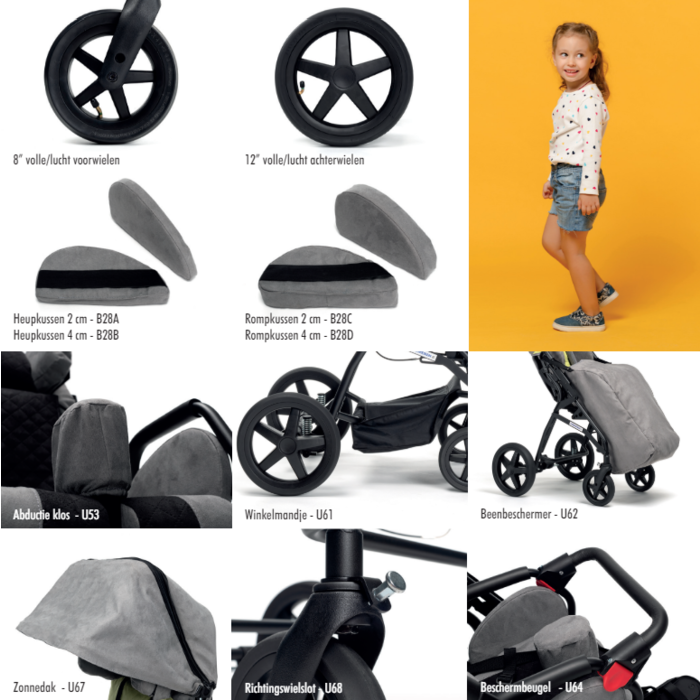Gemini 2 buggy voor andersvalide kinderen