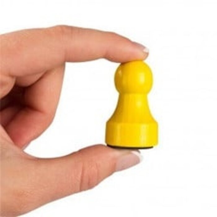Mens erger je niet - magnetisch