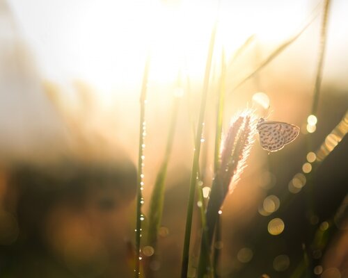Coup de soleil : que faire ?