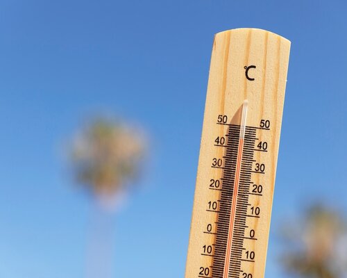 Summer Heat: Protecting Vulnerable Groups and General Measures