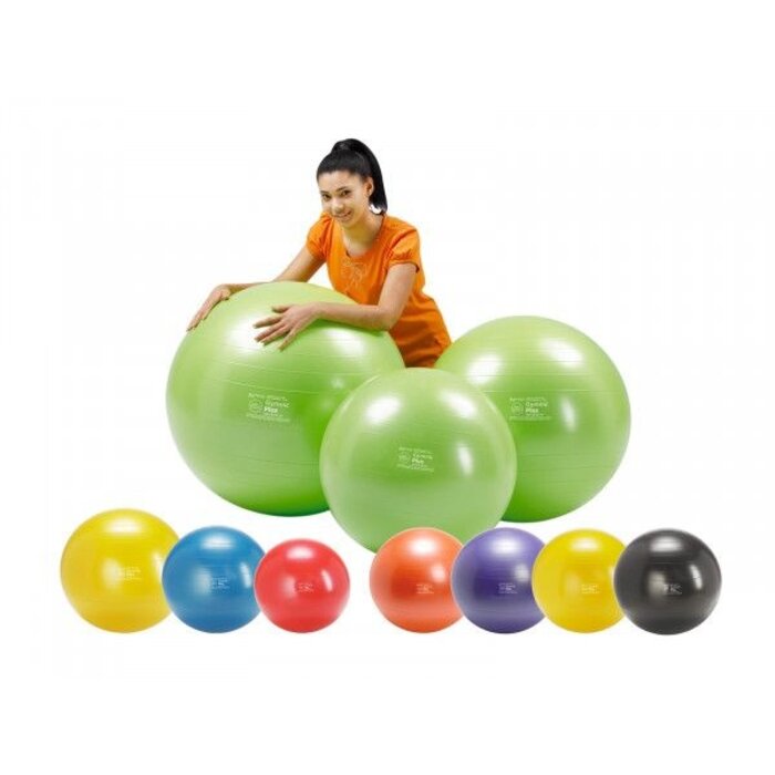 Gymnic Plus