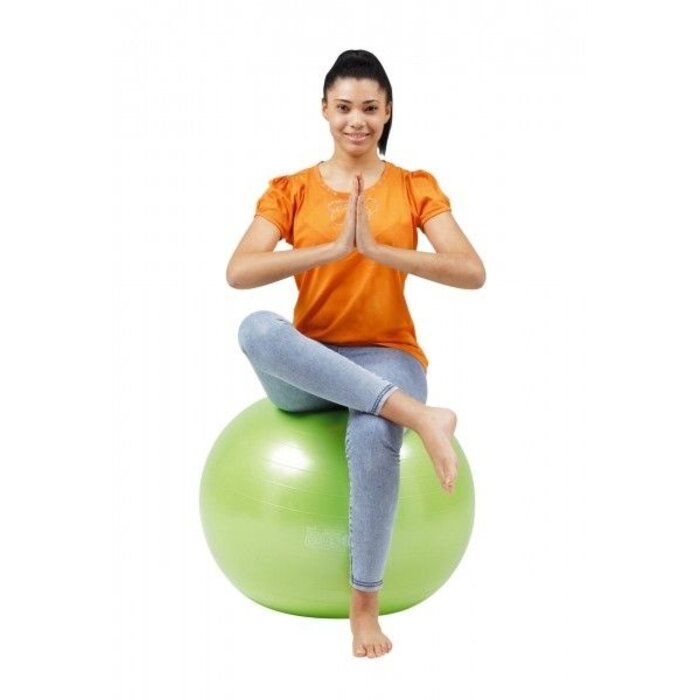 Gymnic Plus