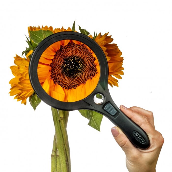 Round magnifying glass with LED lighting