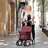 Carlett trolley - walker & caddy in 1