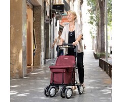 Carlett trolley - rollator & caddy in 1